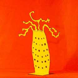 Arbre à bijoux - Baobab